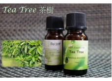 AR-RG01015 Rejoy 茶樹